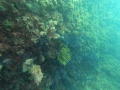 DCIM100GOPROGOPR0329.JPG