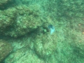 DCIM100GOPROGOPR0342.JPG