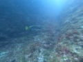 DCIM100GOPROGOPR0427.JPG