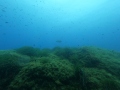 DCIM100GOPROGOPR0565.JPG
