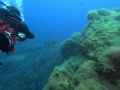 DCIM100GOPROGOPR0568.JPG