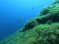 DCIM100GOPROGOPR0570.JPG