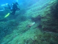 DCIM100GOPROGOPR0582.JPG