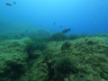 DCIM100GOPROGOPR0618.JPG