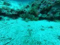 DCIM\100GOPRO\GOPR0627.JPG