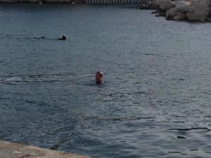 20151021-RIPE IMG 4628 by Serge Geairain (1)